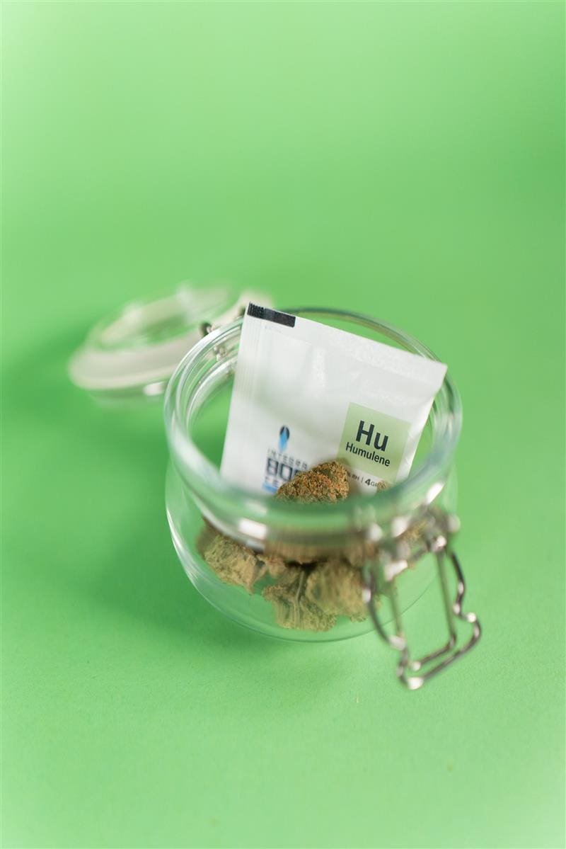 Integra Boost Terpene Humulene 62% 4g