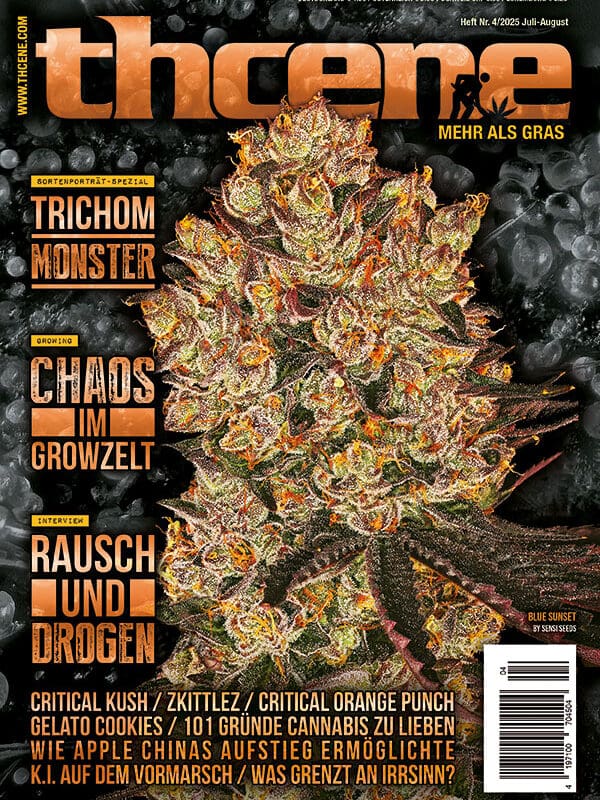 THCENE Magazin