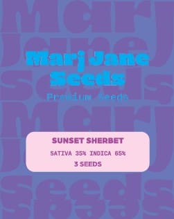 Marj Jane Sunset Sherbet Fem. 3St.