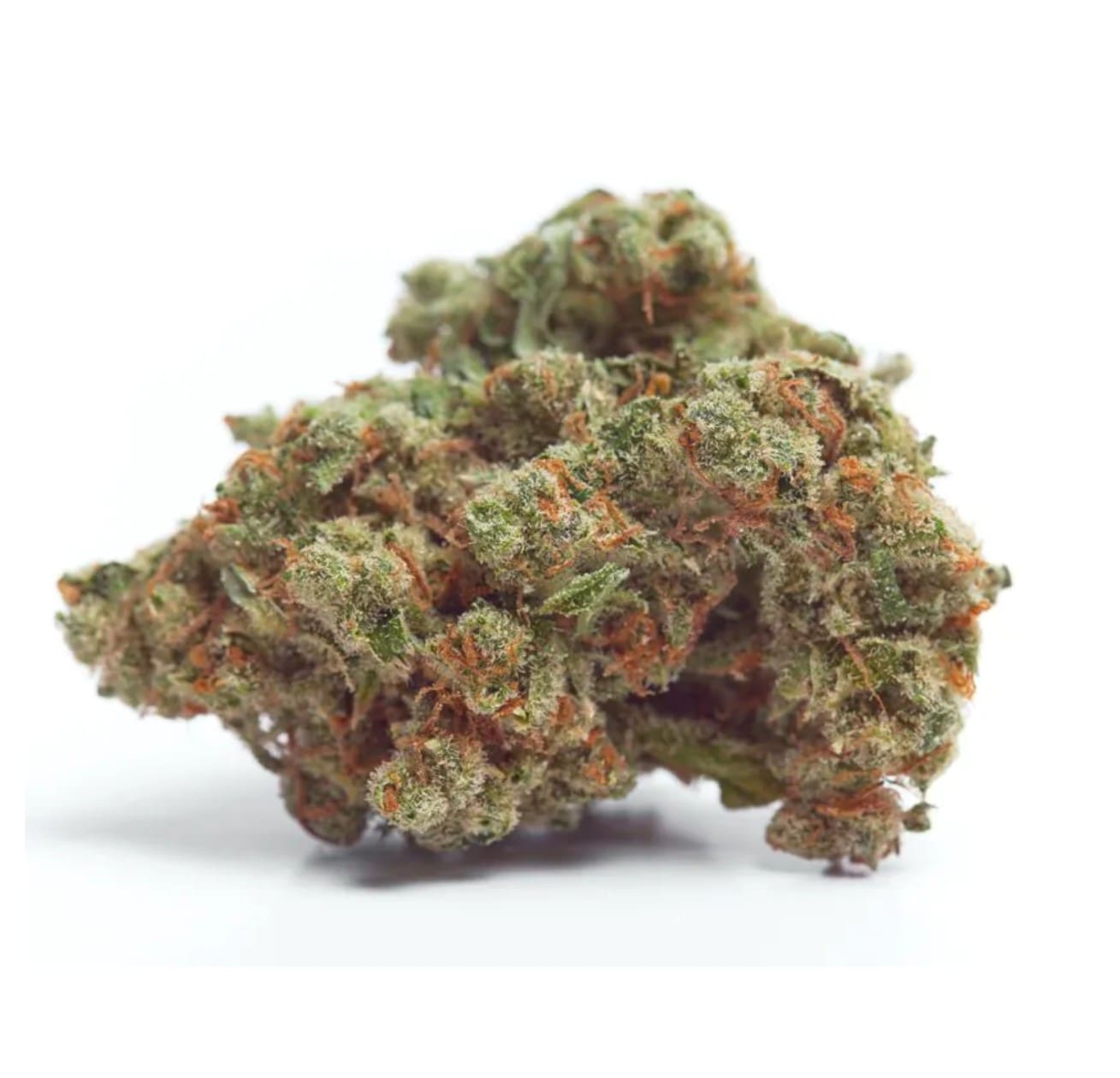 Growers Choice Gorilla Cookies Fem 3St.