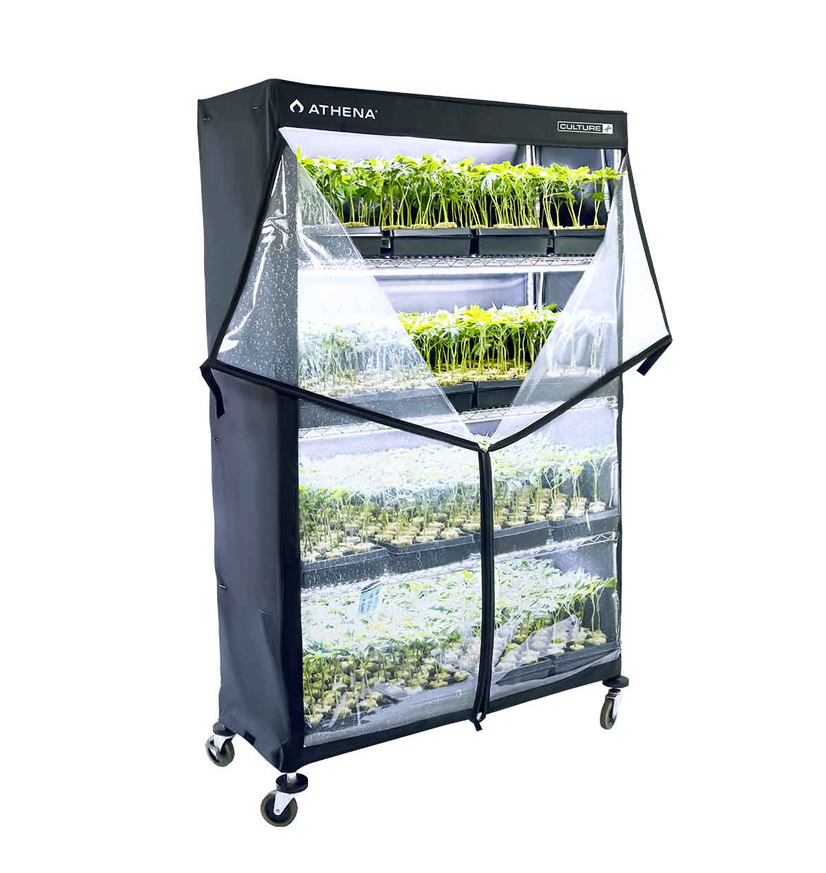 Athena VPDome Anzuchtzelt 122x183x41