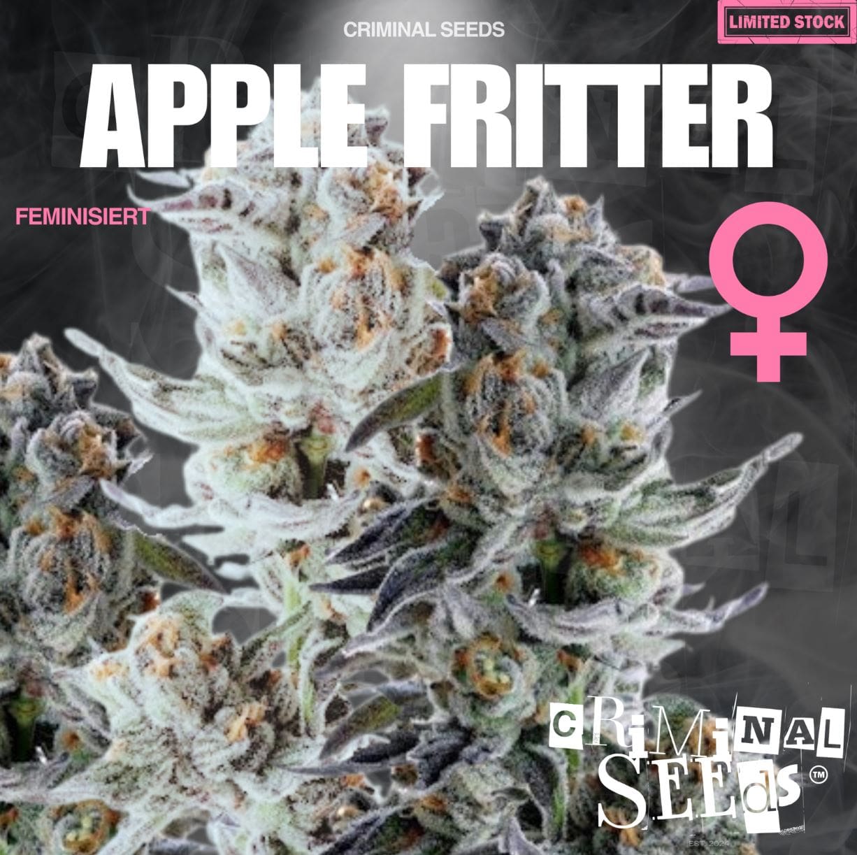 Criminal Seeds Apple Fritter Fem 3St.