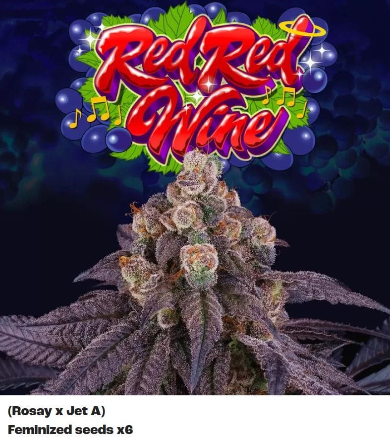 Perfect Tree Red Red Wine Fem 6St.