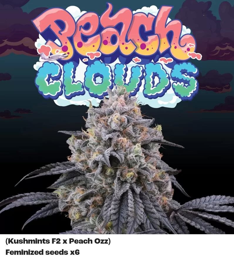 Perfect Tree Peach Clouds Fem 6St.